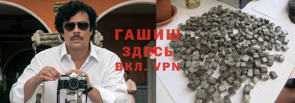 индика Алзамай