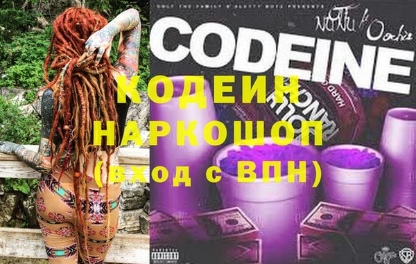 индика Алзамай