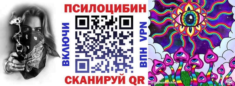 Псилоцибиновые грибы Cubensis  дарнет шоп  Каменногорск 